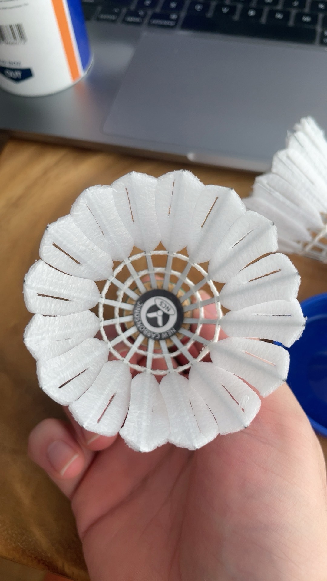 一旦尼克斯 一旦尼克斯