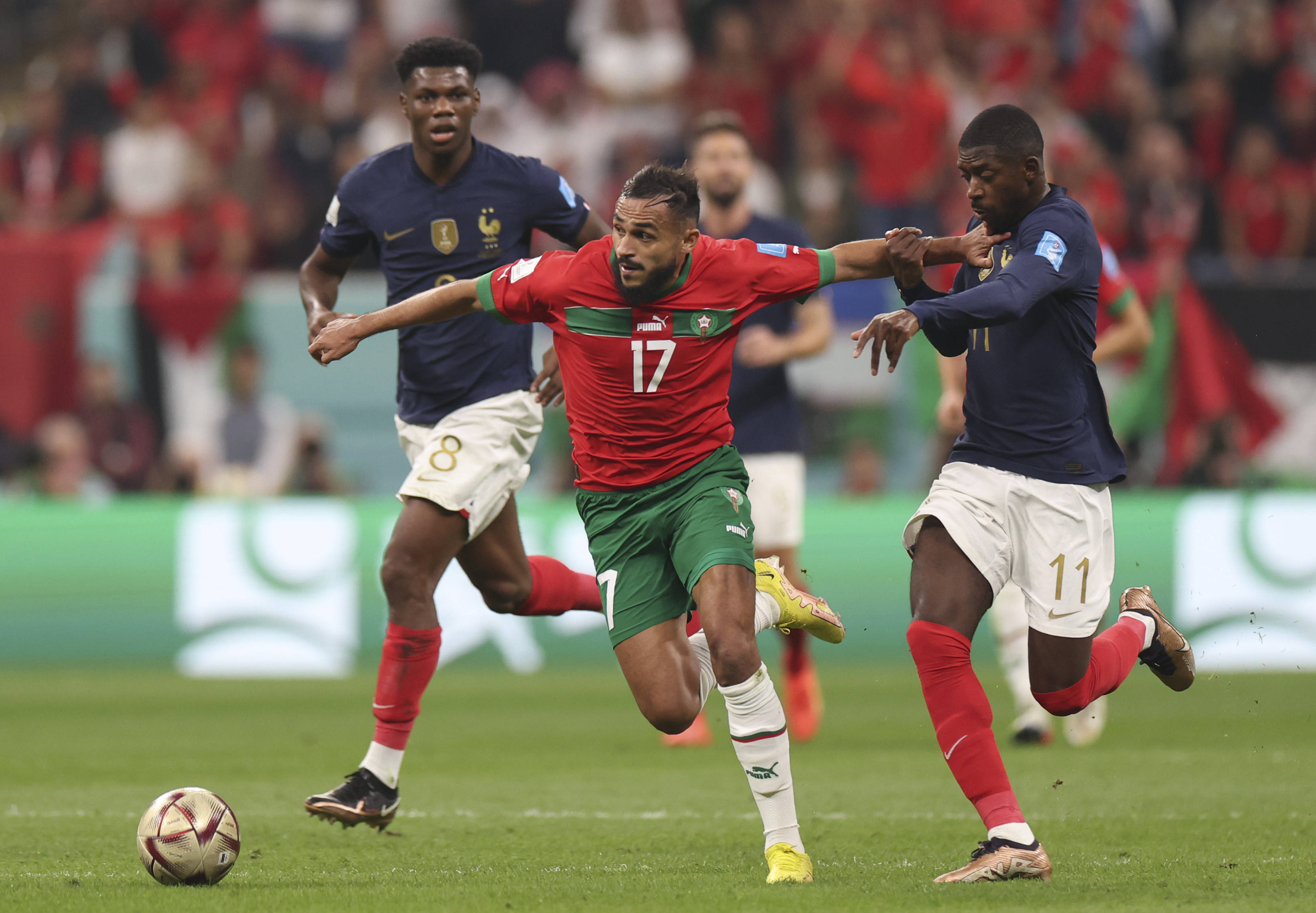 新疆伊力特 新疆伊力特